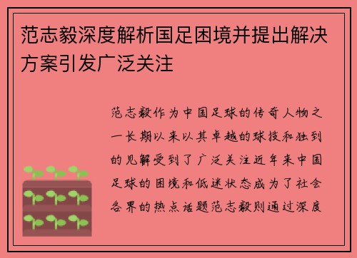 范志毅深度解析国足困境并提出解决方案引发广泛关注