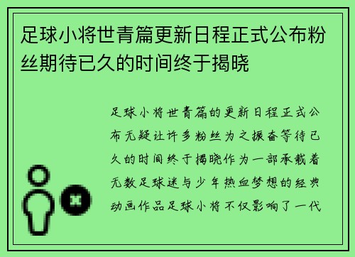 足球小将世青篇更新日程正式公布粉丝期待已久的时间终于揭晓